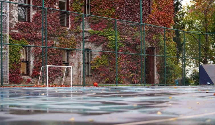 Sports Branch Directorate