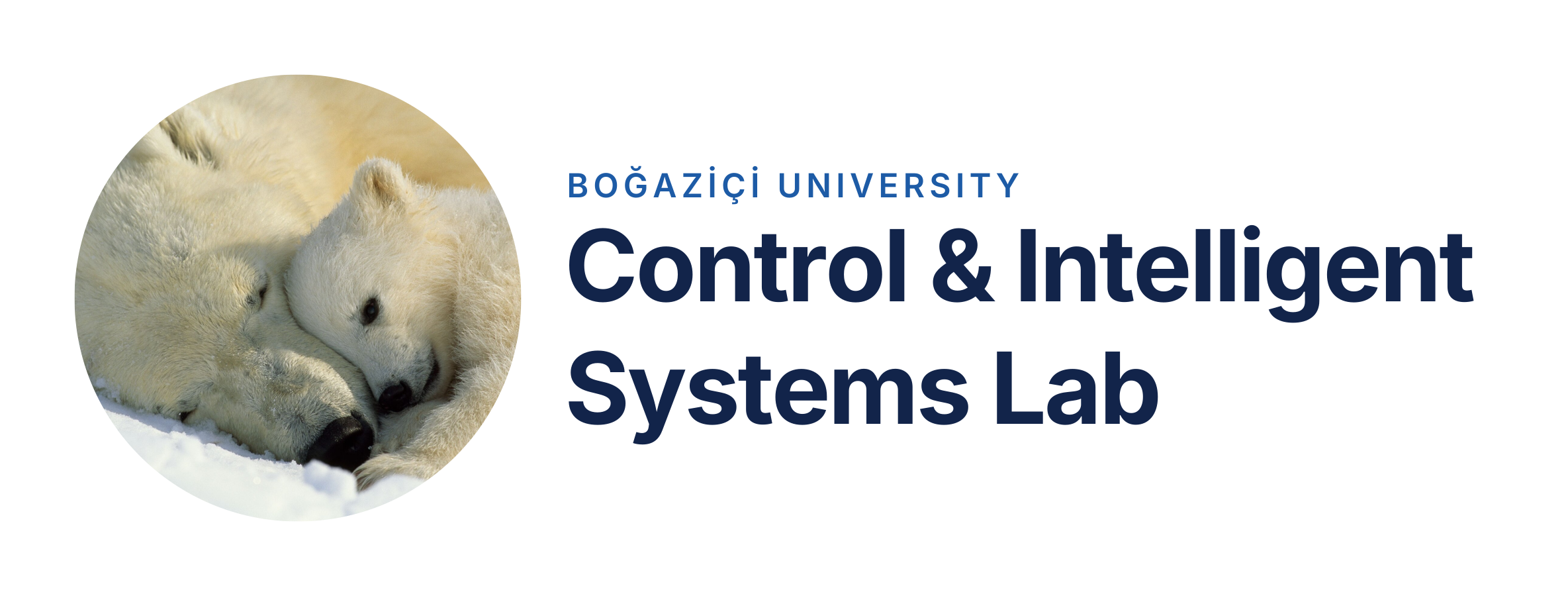 Control and Intelligent Systems Lab