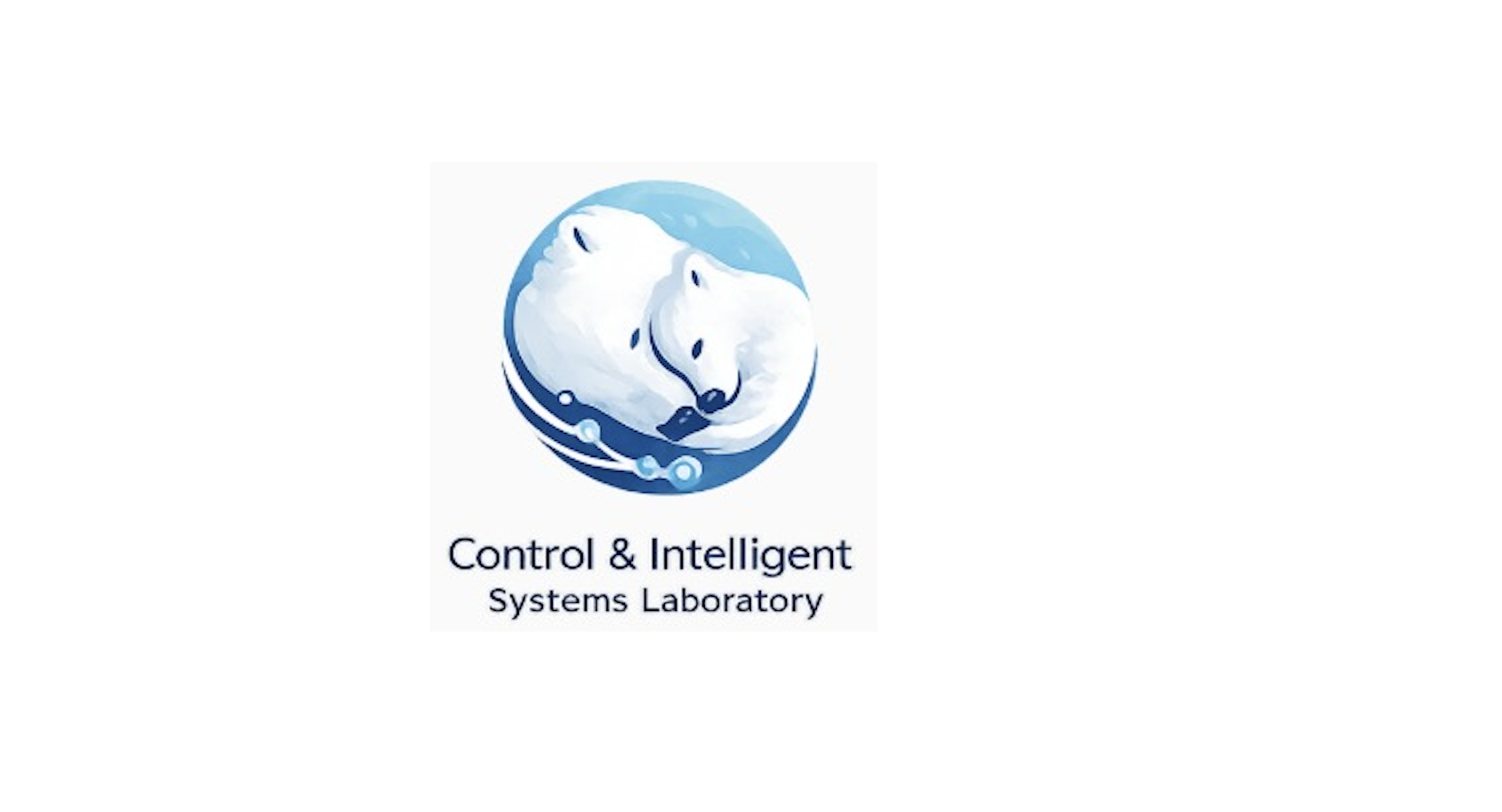 Control & Intelligent Systems Laboratory