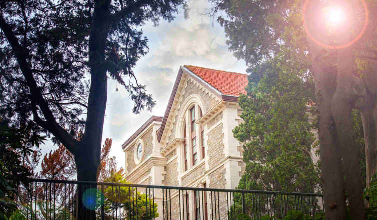 LİSANS EĞİTİMİ