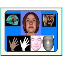 Signal and Image Processing Laboratory / Volumetric Analysis & Visualization Laboratory (BUSIM/VAVlab)