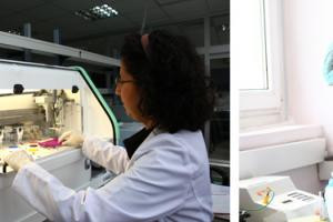 Biosystems Engineering