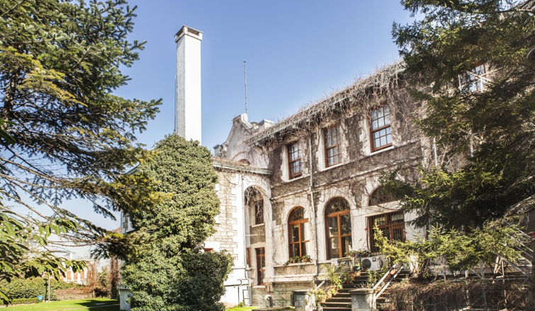 Akademik Danışmanlık