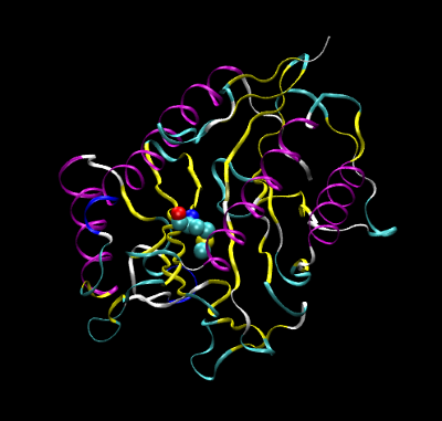 Enzymatic Catalysis