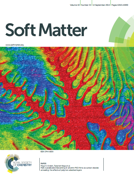 Melt crystallization/dewetting of ultrathin PEO films via carbon dioxide annealing: the effects of polymer adsorbed layers