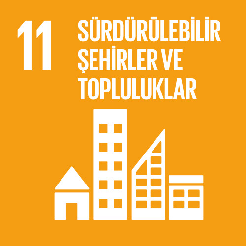 11.AMAÇ