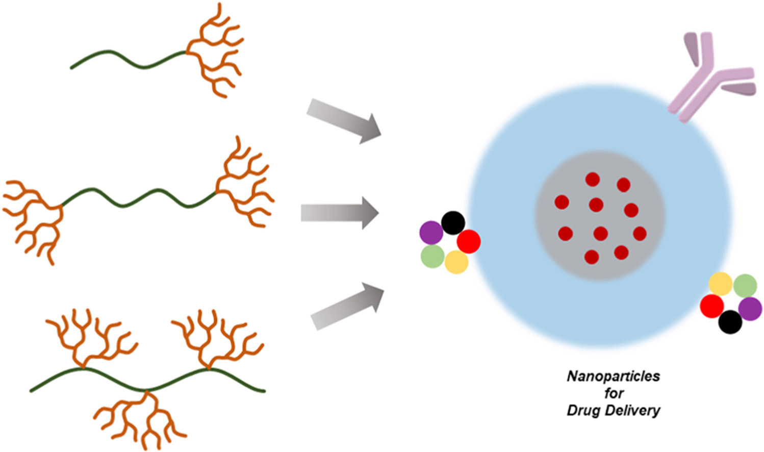 Amphiphilic dendron-polymer conjugates: Self-assembled nanocarriers for drug delivery