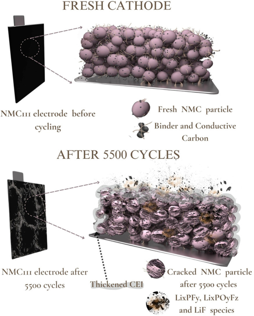 Mechanistic insights into cathode-driven capacity degradation of NMC111/ graphite pouch cells under long-term cycling