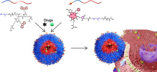 PEG-PLA micelles for targeted codelivery of chemotherapy agents for ovarian cancer