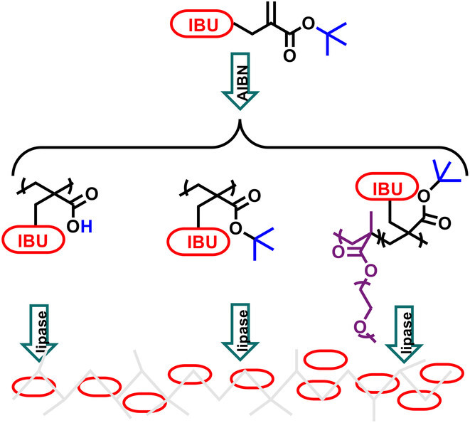 Ibuprofen-Functionalized Alkyl α-hydroxy Methacrylate-Based Polymers