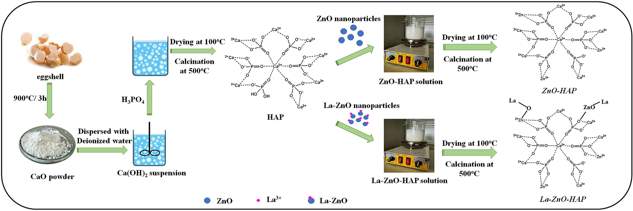 Adsorption mechanisms, kinetics and photoactivities of green synthesized hydroxyapatite supported ZnO and La–ZnO catalysts