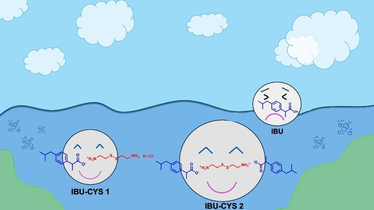 New Ibuprofen Cystamine Salts With Improved Solubility and Anti-Inflammatory Effect