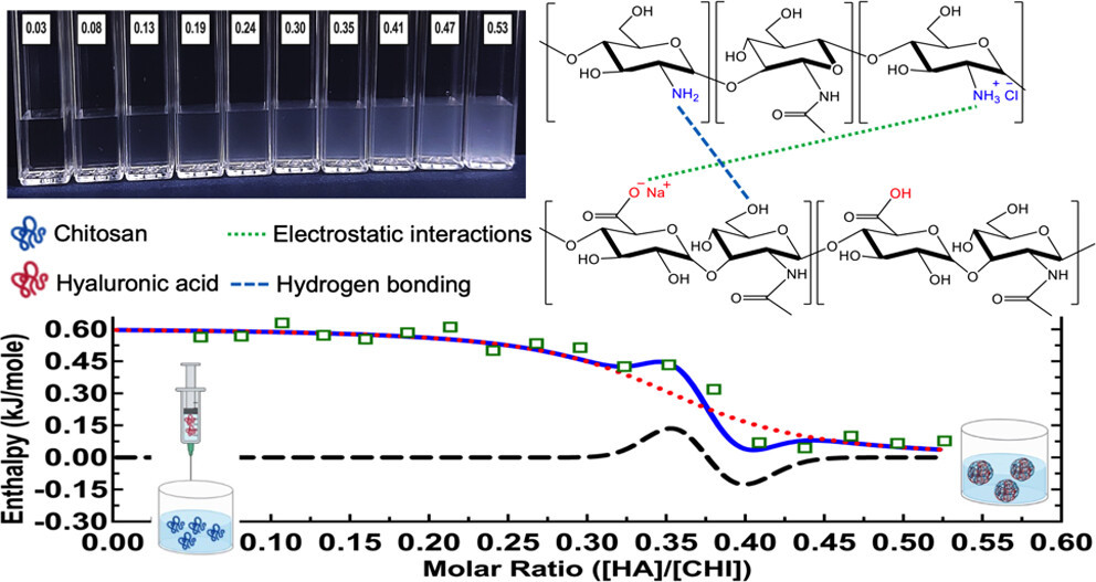 Interactions between Hyaluronic Acid and Chitosan by Isothermal Titration Calorimetry: The Effect of Ionic Strength, pH, and Polymer Molecular Weight