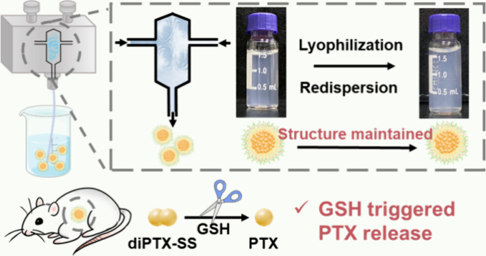 Lyophilizable Polymer–Lipid Hybrid Nanoparticles with High Paclitaxel Loading