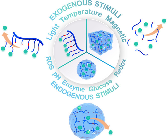 Stimuli-Responsive Polymers at the Interface with Biology