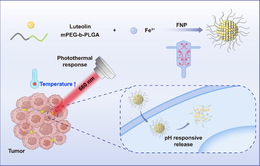 Polymeric pH-Responsive Metal-Supramolecular Nanoparticles for Synergistic Chemo-Photothermal Therapy