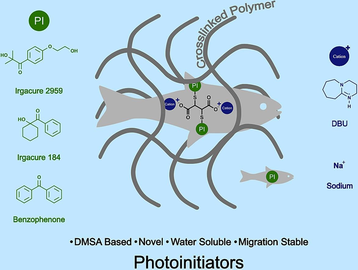 Highly water-soluble and migration stable photoinitiators from meso-2,3-dimercaptosuccinic acid