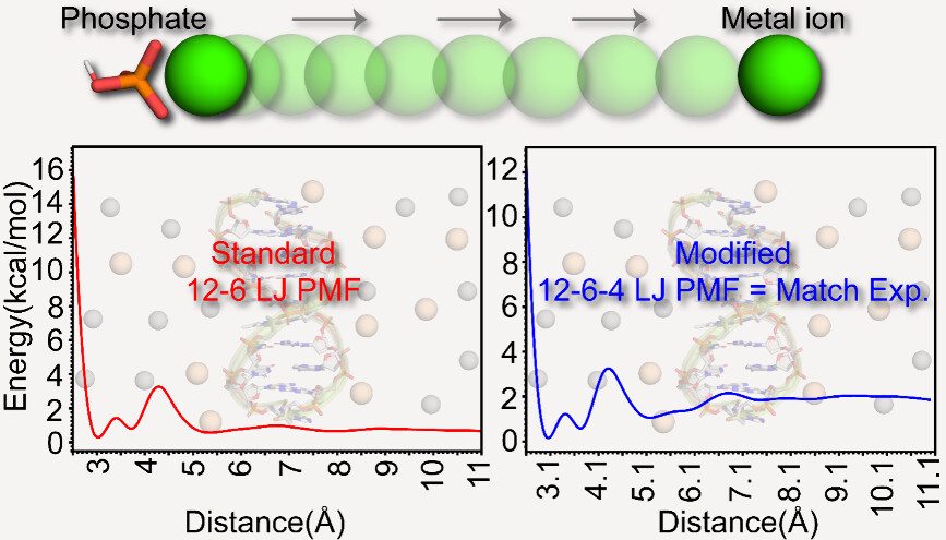 Binding of Phosphate Species to Ca2+ and Mg2+ in Aqueous Solution
