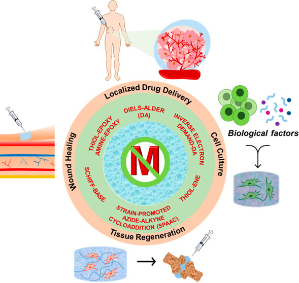 Metal-Free Click-Chemistry: A Powerful Tool for Fabricating Hydrogels for Biomedical Applications