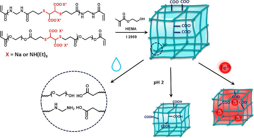 Meso-2,3-dimercaptosuccinic Acid−Based Macromers for pHSensitive Degradable Hydrogels