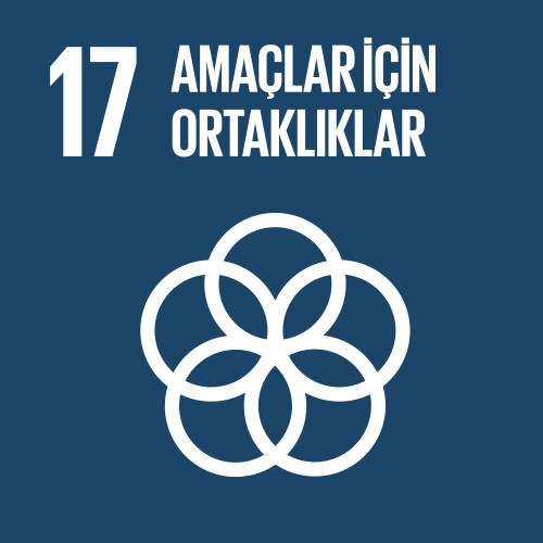 17.AMAÇ