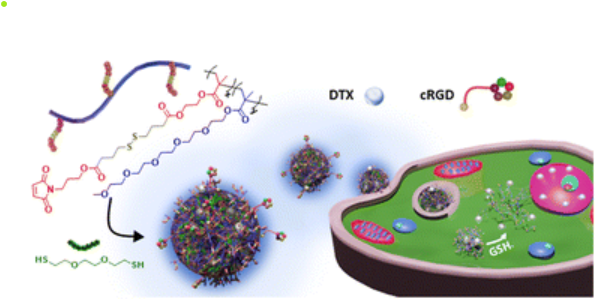 Redox-responsive nanogels for drug-delivery: thiol-maleimide and thiol-disulfide exchange chemistry as orthogonal tools for fabrication and degradation