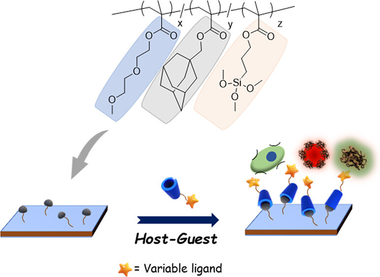Plug-and-Play Biointerfaces: Harnessing Host-Guest Interactions for Fabrication of Functional Polymeric Coatings