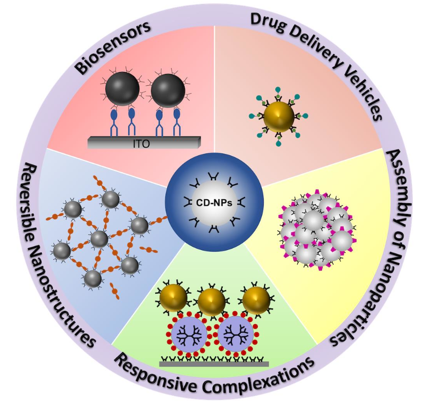 Self-Assembly of Cyclodextrin-Coated Nanoparticles: Fabrication of Functional Nanostructures for Sensing and Delivery