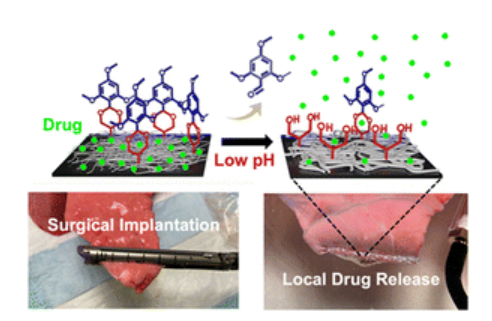 pH-Responsive Nanofiber Buttresses as Local Drug Delivery Devices