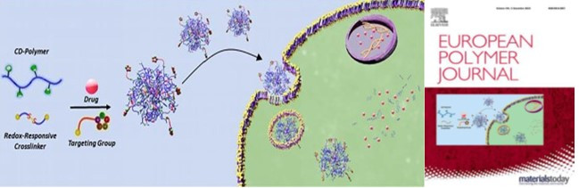 Cyclodextrin-containing redox-responsive nanogels: Fabrication of a modular targeted drug delivery system