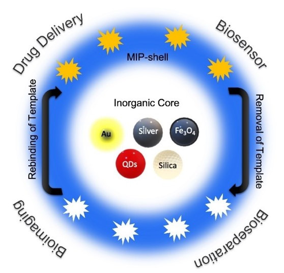 Molecularly Imprinted Polymer-Coated Inorganic Nanoparticles: Fabrication and Biomedical Applications