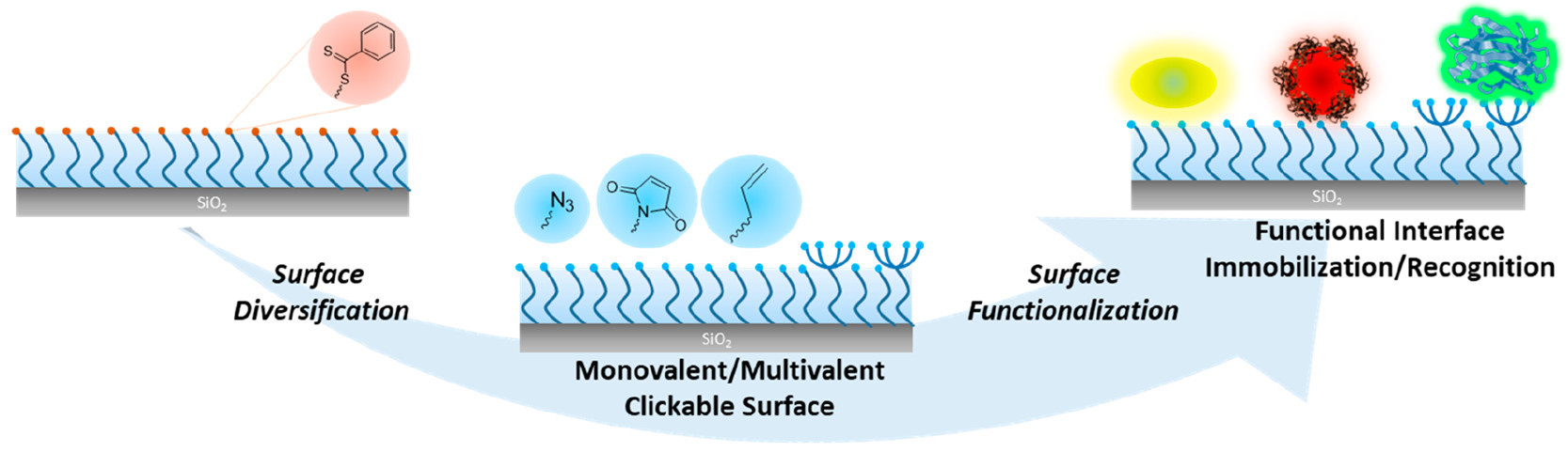 “Clickable” Polymer Brush Interfaces: Tailoring Monovalent to Multivalent Ligand Display for Protein Immobilization and Sensing