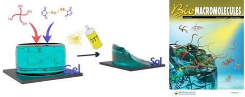 Fast-Forming Dissolvable Redox-Responsive Hydrogels: Exploiting the Orthogonality of Thiol-Maleimide and Thiol-Disulfide Exchange Chemistry