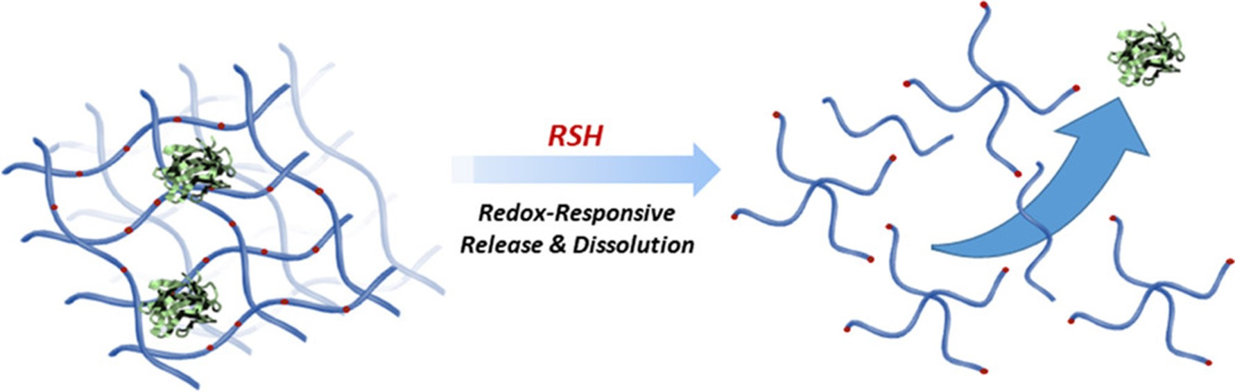 Redox-Responsive Hydrogels for Tunable and “On-Demand” Release of Biomacromolecules