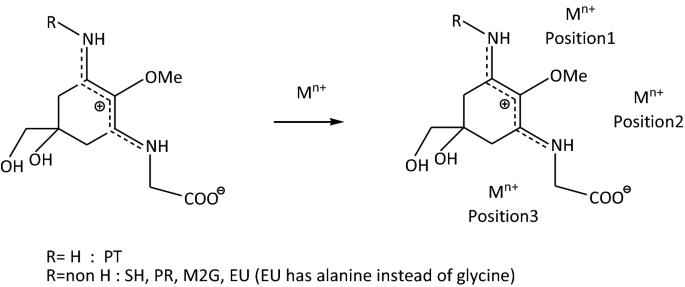 Potential metal chelating ability of mycosporine-like amino acids: a computational research