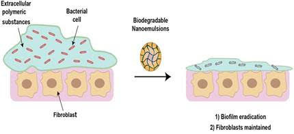 Biodegradable Poly(lactic acid) Stabilized Nanoemulsions for the Treatment of Multidrug-Resistant Bacterial Biofilms