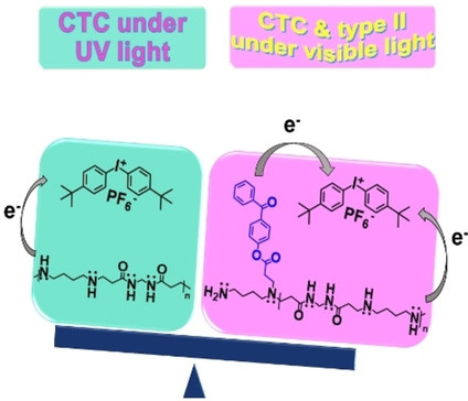 Benzophenone-Functionalized Oligo(Amido Amine)/Iodonium Salt Systems as Visible Light Photoinitiators