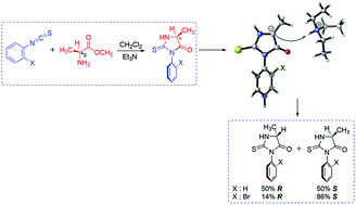 Elucidation of the Atroposelectivity in the Synthesis of Axially Chiral Thiohydantoin Derivatives