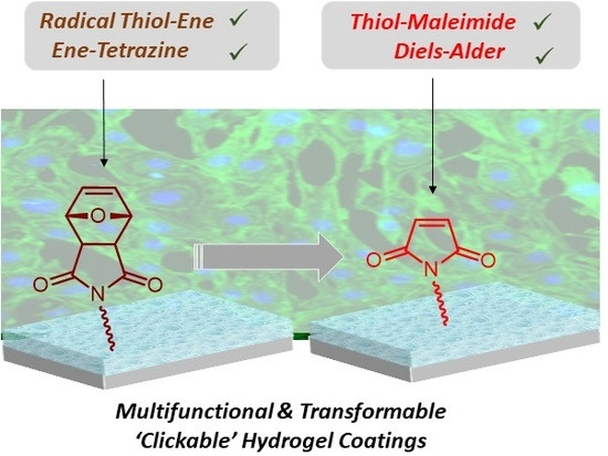 Multifunctional and Transformable ‘Clickable'Hydrogel Coatings on Titanium Surfaces: From Protein Immobilization to Cellular Attachment