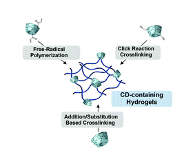 Cyclodextrin embedded covalently crosslinked networks: synthesis and applications of hydrogels with nano-containers