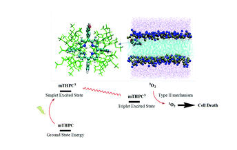 Optical properties of photodynamic therapy drugs in different environments: the paradigmatic case of temoporfin