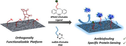 Orthogonally “Clickable” Biodegradable Nanofibers: Tailoring Biomaterials for Specific Protein Immobilization