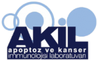 Apoptoz ve Kanser İmmünolojisi Laboratuvarı