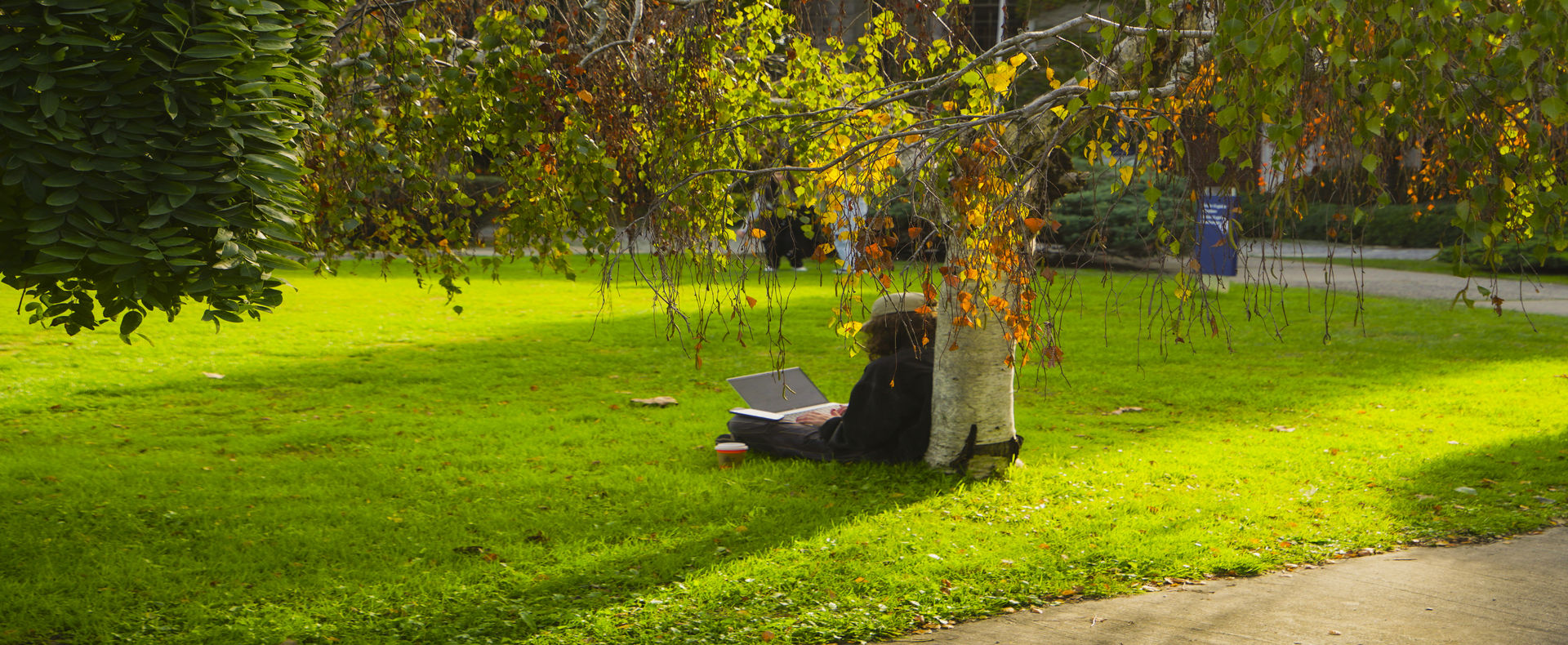 Sağlık ve Rehberlik Şube Müdürlüğü'ne Hoş Geldiniz.