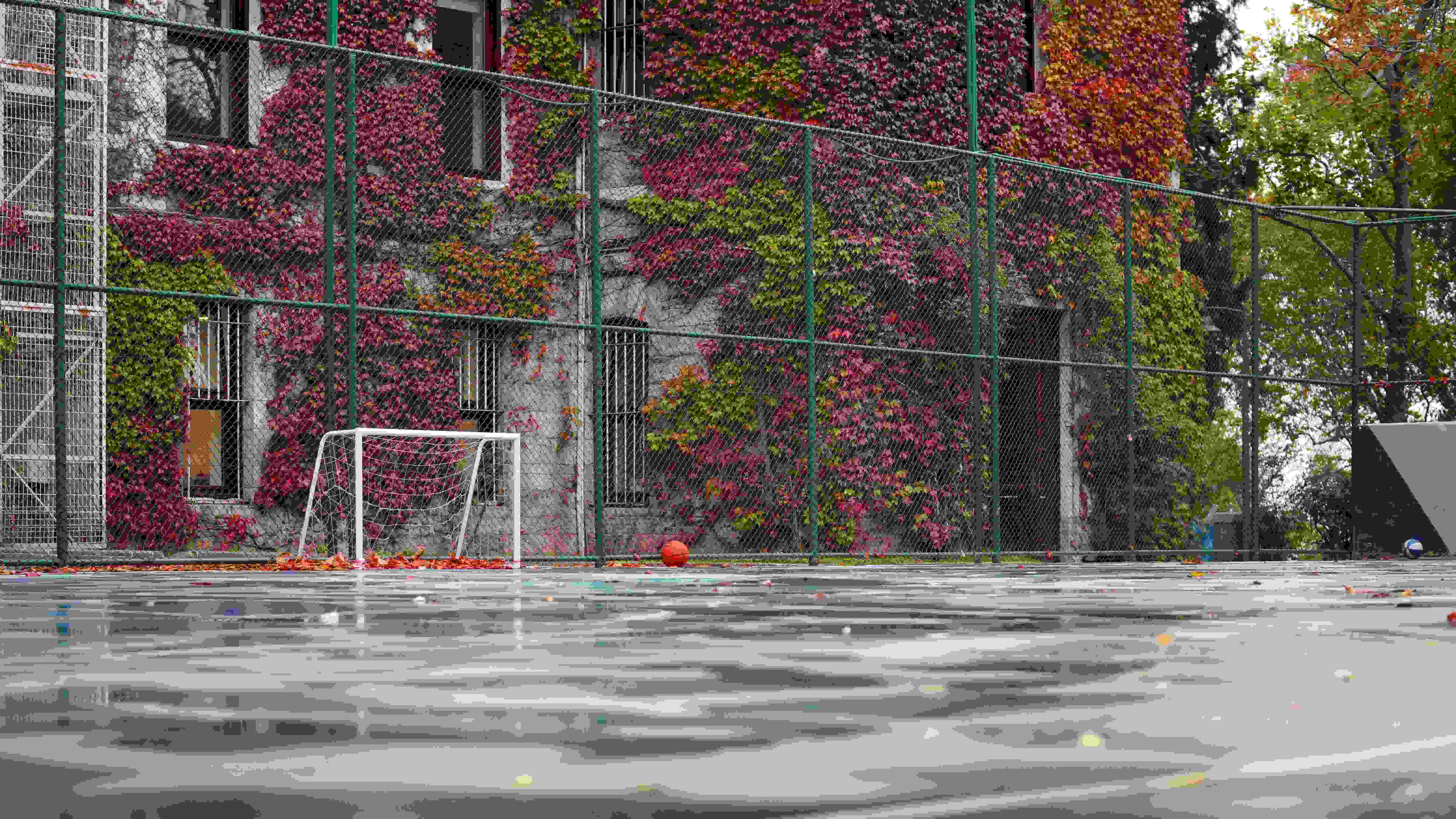 Spor Şube Müdürlüğü'ne Hoş Geldiniz