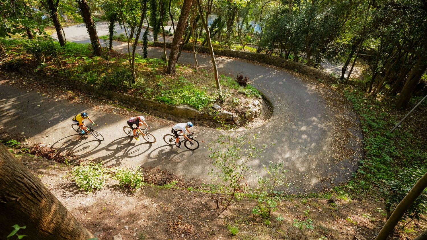 Düzey Belirleme Sınavı