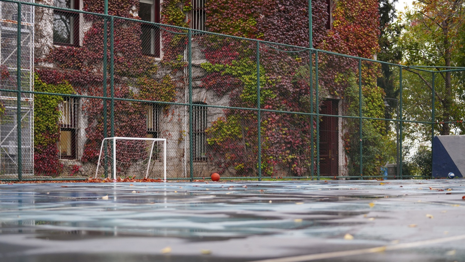   Lisans Öğrencisi Danışmanlığı