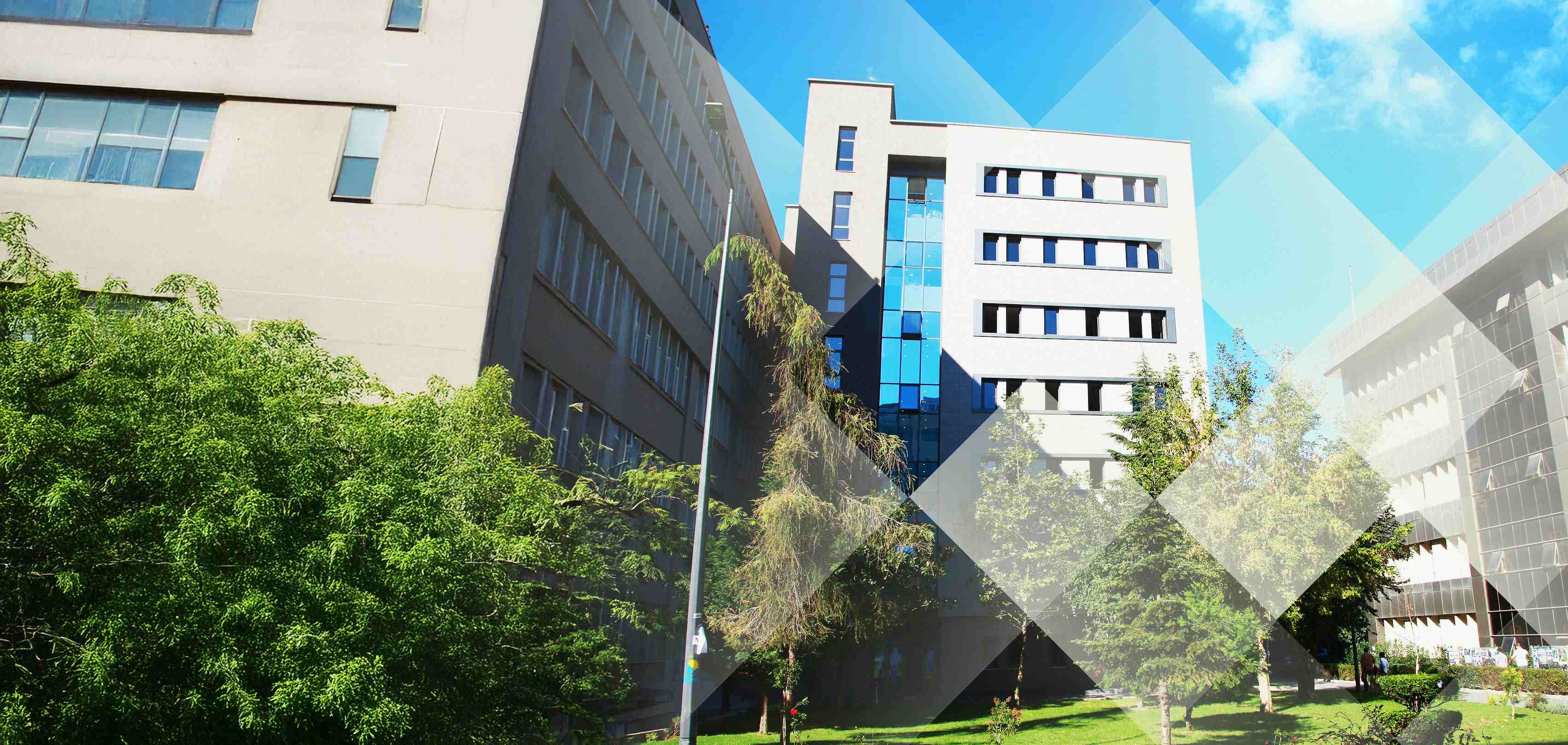 BURS OFİSİ KOORDİNATÖRLÜĞÜNE HOŞ GELDİNİZ