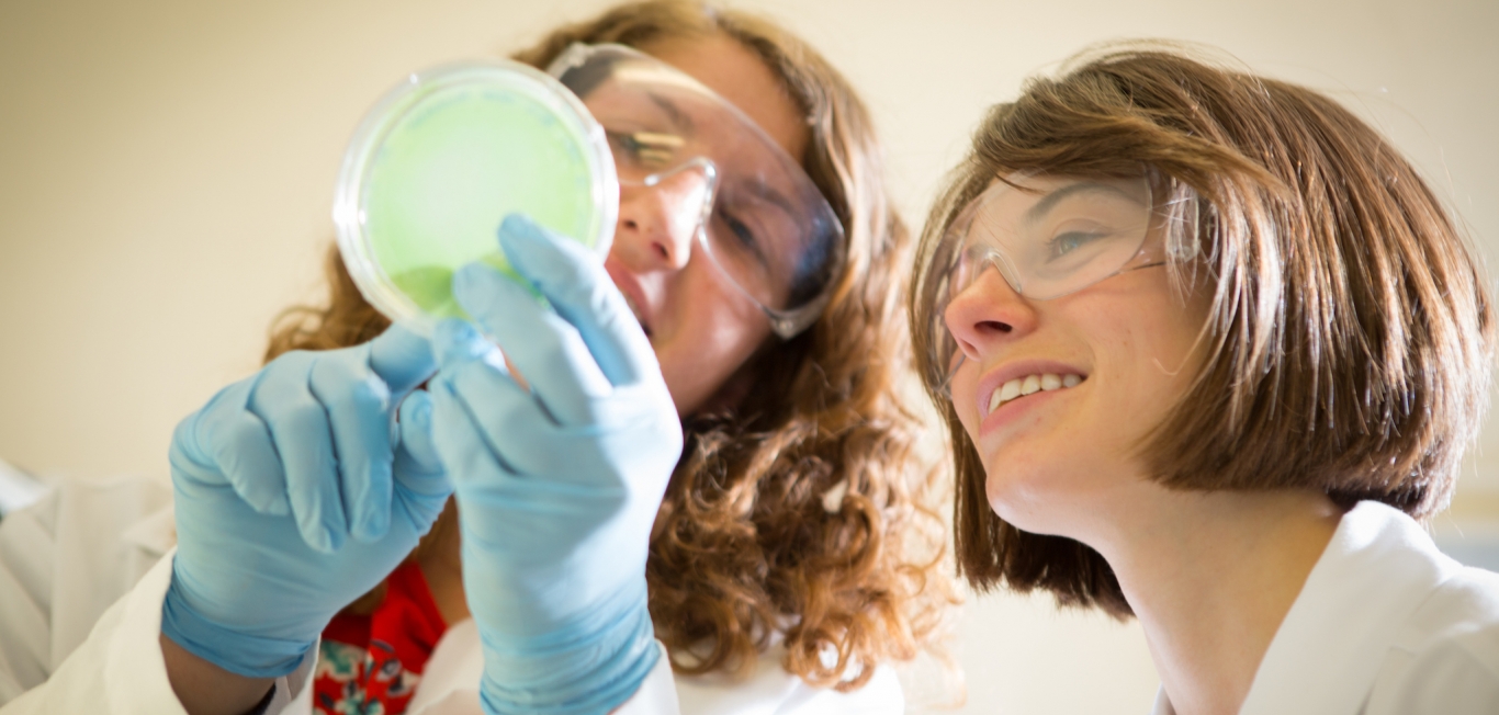 Experienced personnel