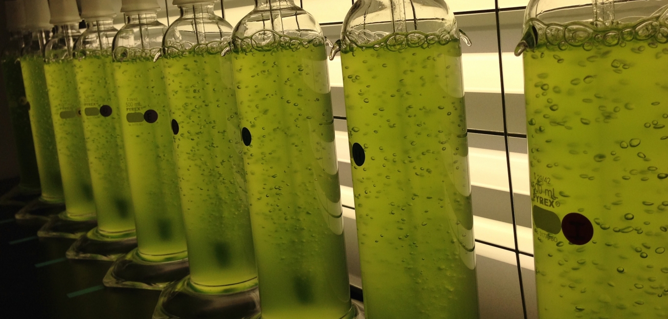 Bilimsel faaliyetler